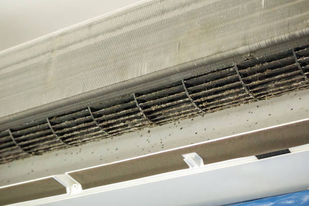 Best Air Duct Cleaning Near Me  in Maria Stein, OH